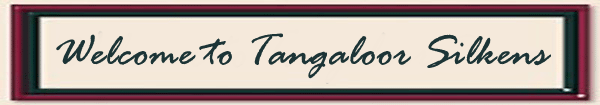 Welcome to Tangaloor Silken Windhounds!